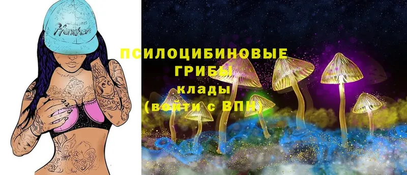 Псилоцибиновые грибы Magic Shrooms  Белово 