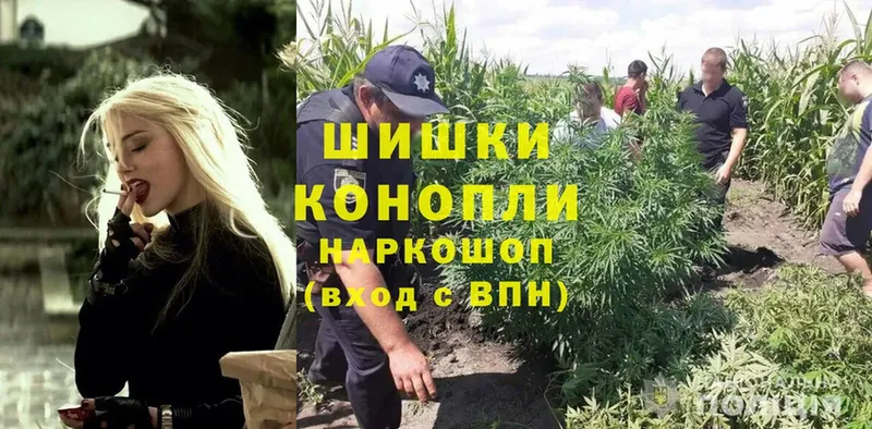 Бошки марихуана SATIVA & INDICA  сколько стоит  Белово 